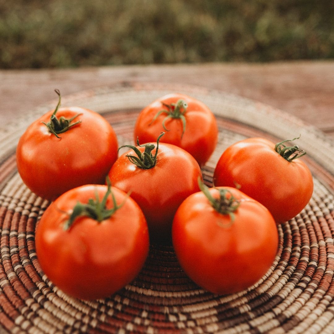 Super Sioux Heirloom Tomato