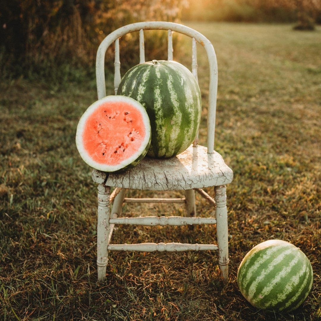 Sweet Dakota Rose Watermelon