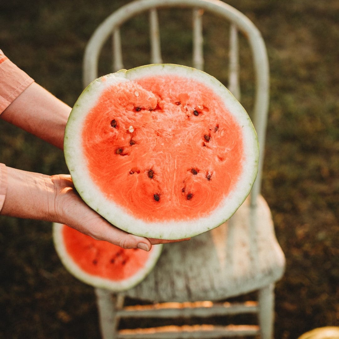 Sweet Dakota Rose Watermelon