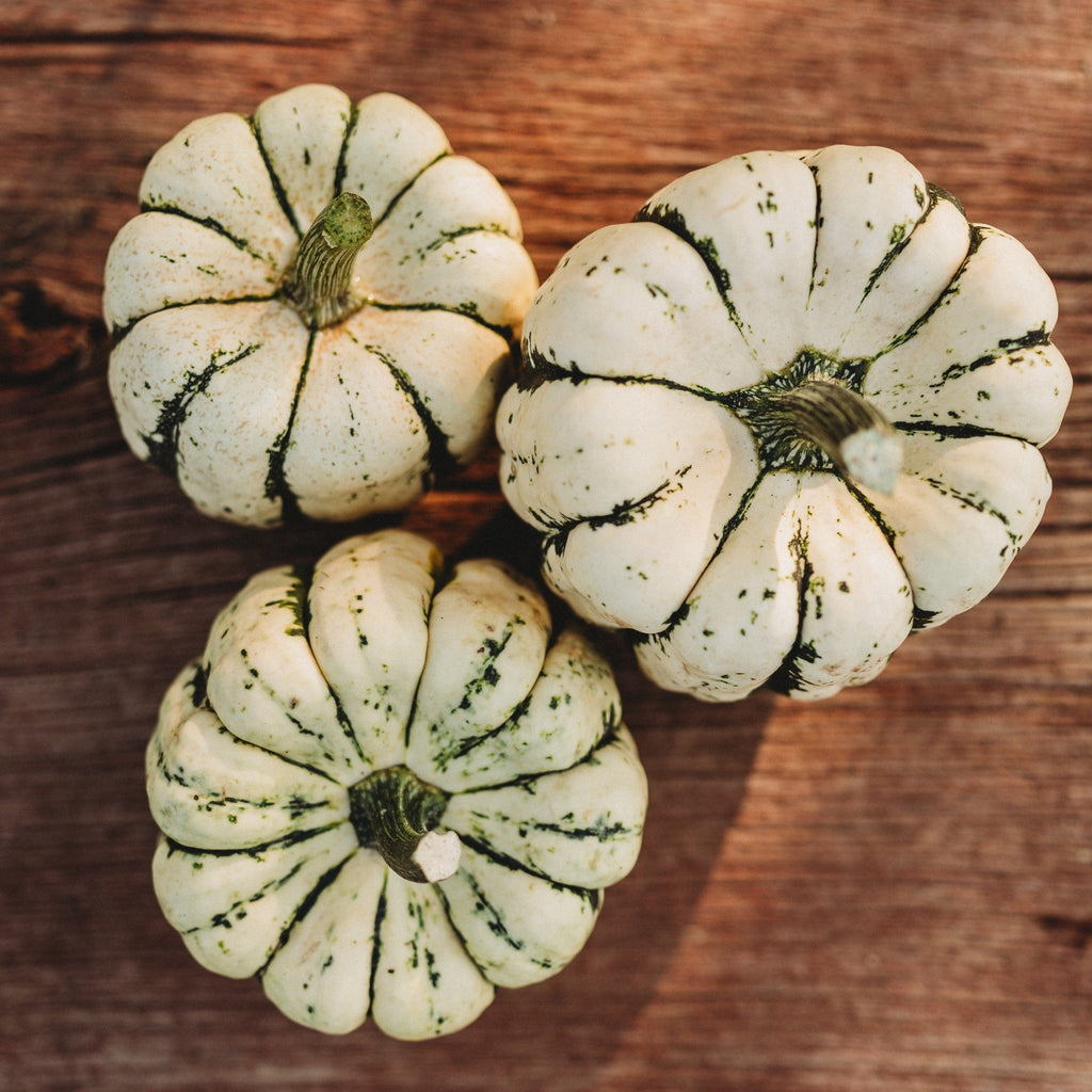 Sweet Dumpling Acorn Squash Seeds