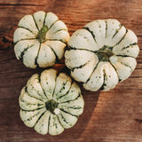Sweet Dumpling Acorn Squash Seeds
