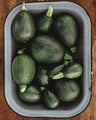 Tatume Squash