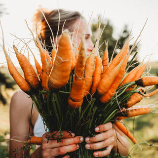 Tendersweet Carrot