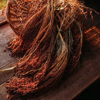 Tennessee Red Broomcorn