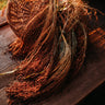 Tennessee Red Broomcorn