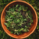 Thresh Seed Co. Mesclun Mix Seeds