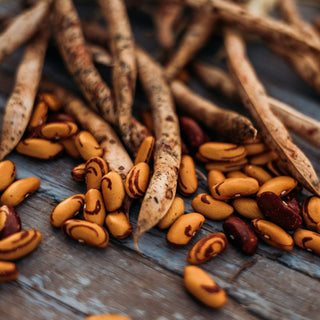 Tiger's Eye Bean