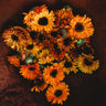 Touch of Red Calendula