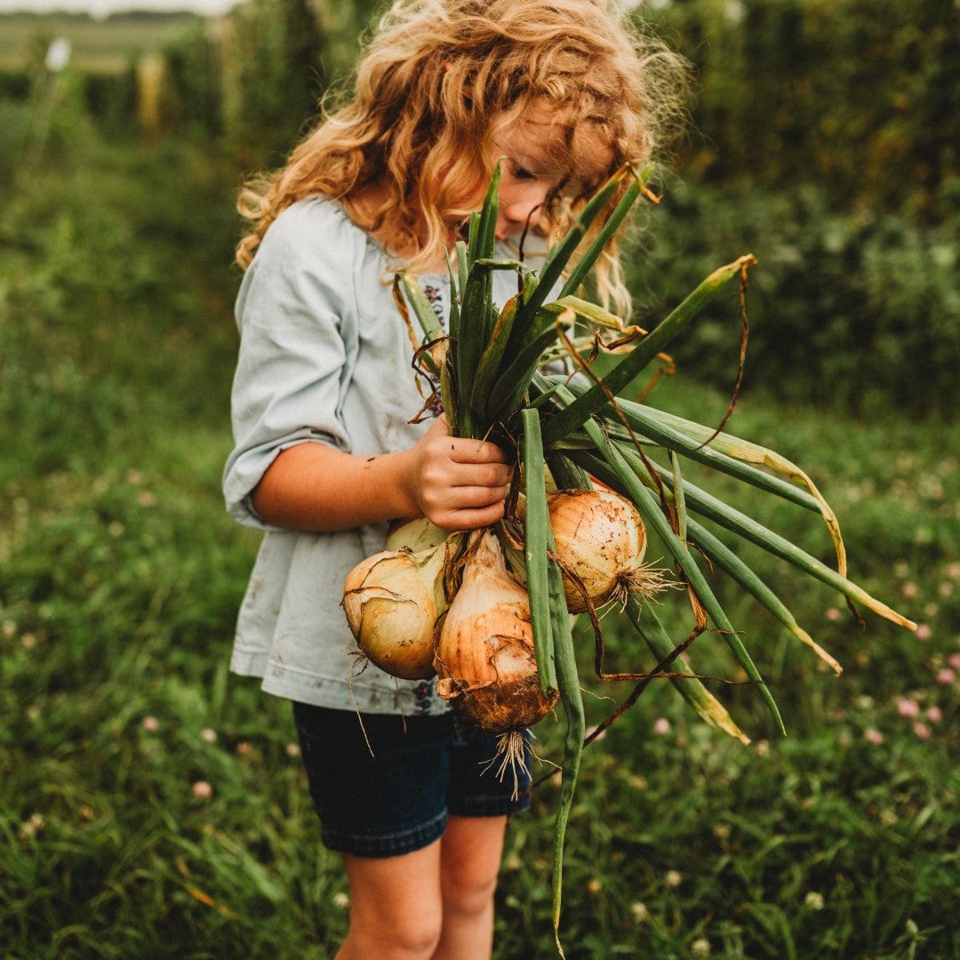 Walla Walla Heirloom Sweet Yellow Onion