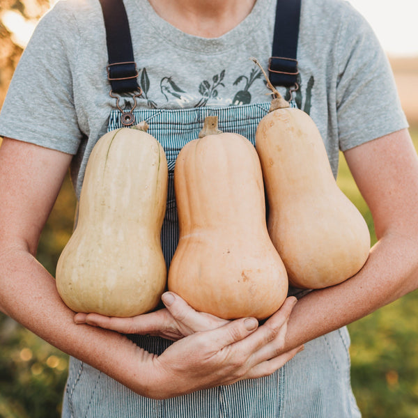 Organic Non-GMO Waltham Butternut Squash - Foto 6