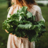 Webb's Wonderful Lettuce