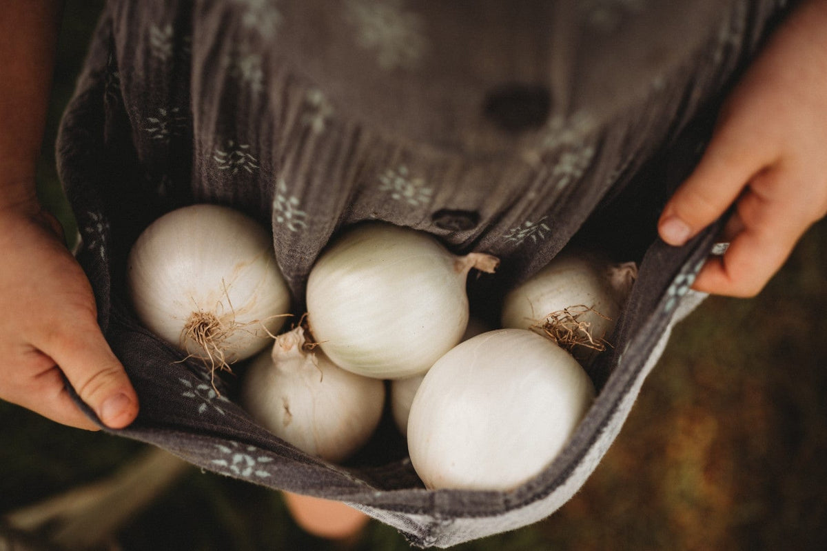 White Sweet Spanish Onion