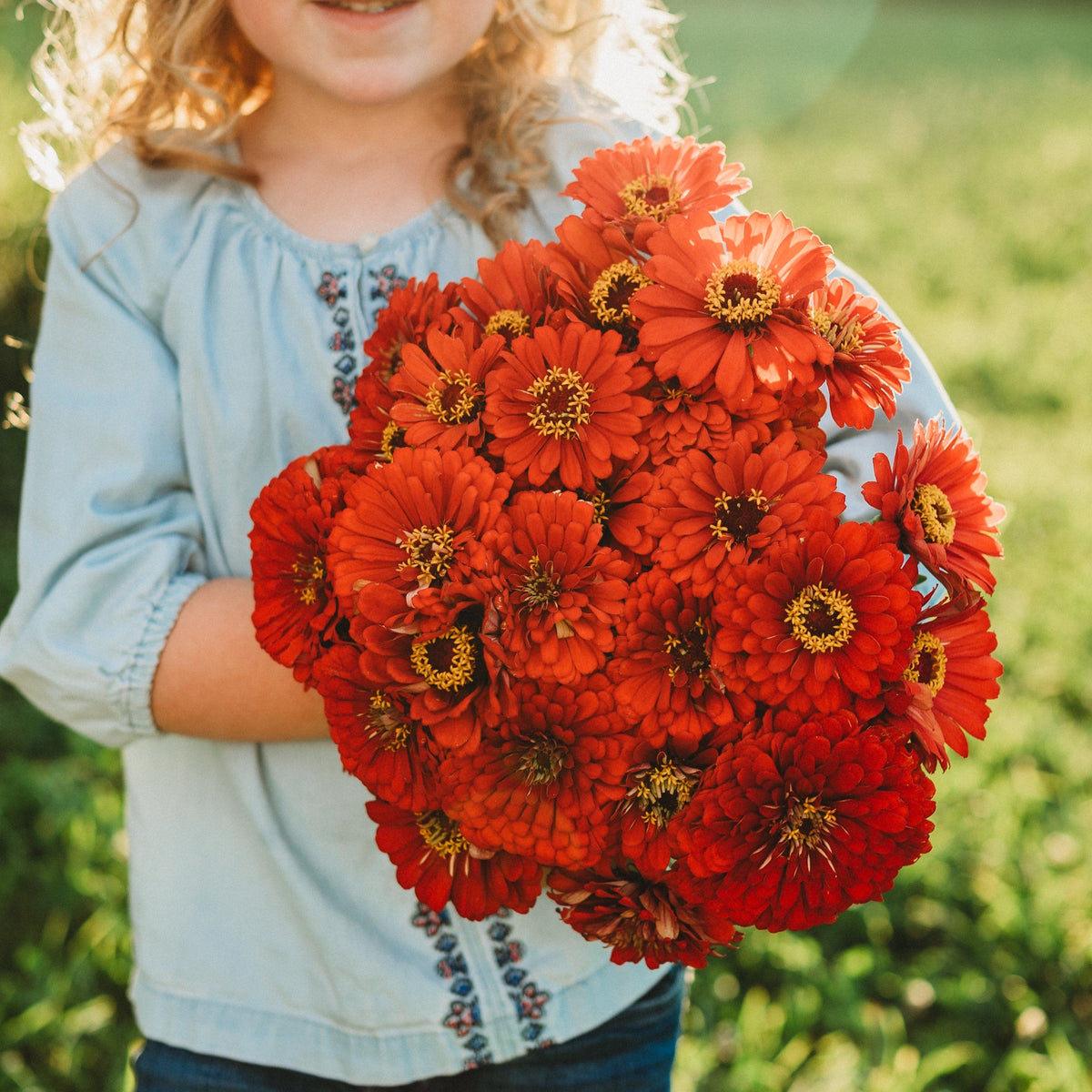 Will Rogers Zinnia
