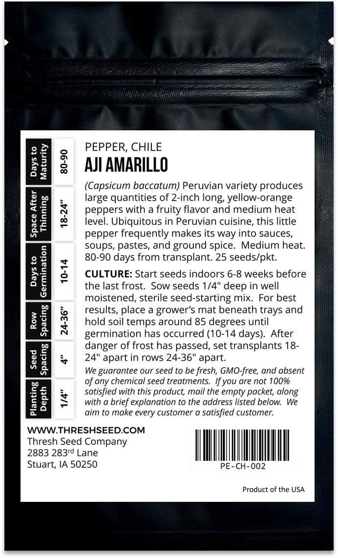 Aji Amarillo Chile Pepper