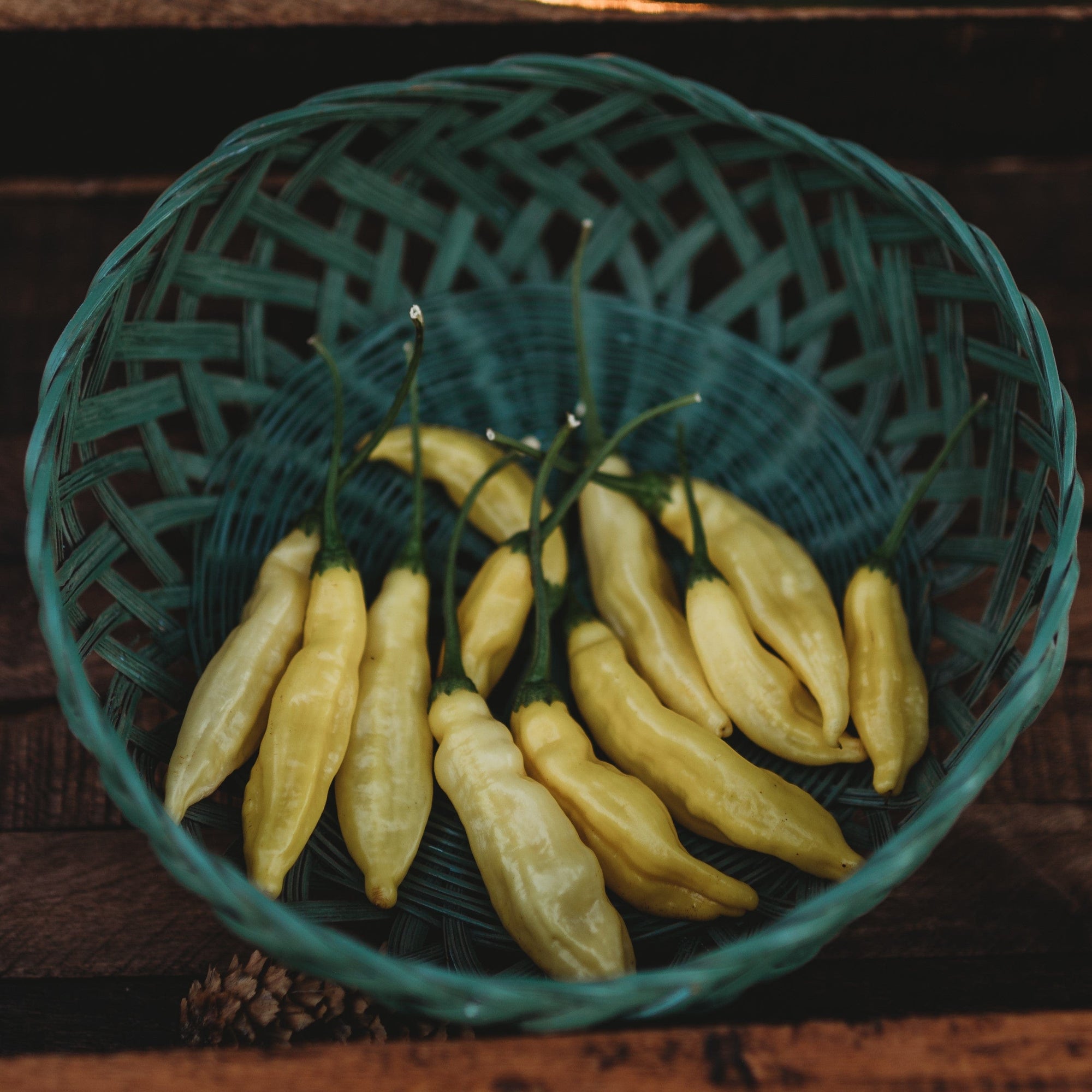 pineapple pepper plant Aji Pineapple Pepper, Packet (10 Seeds)