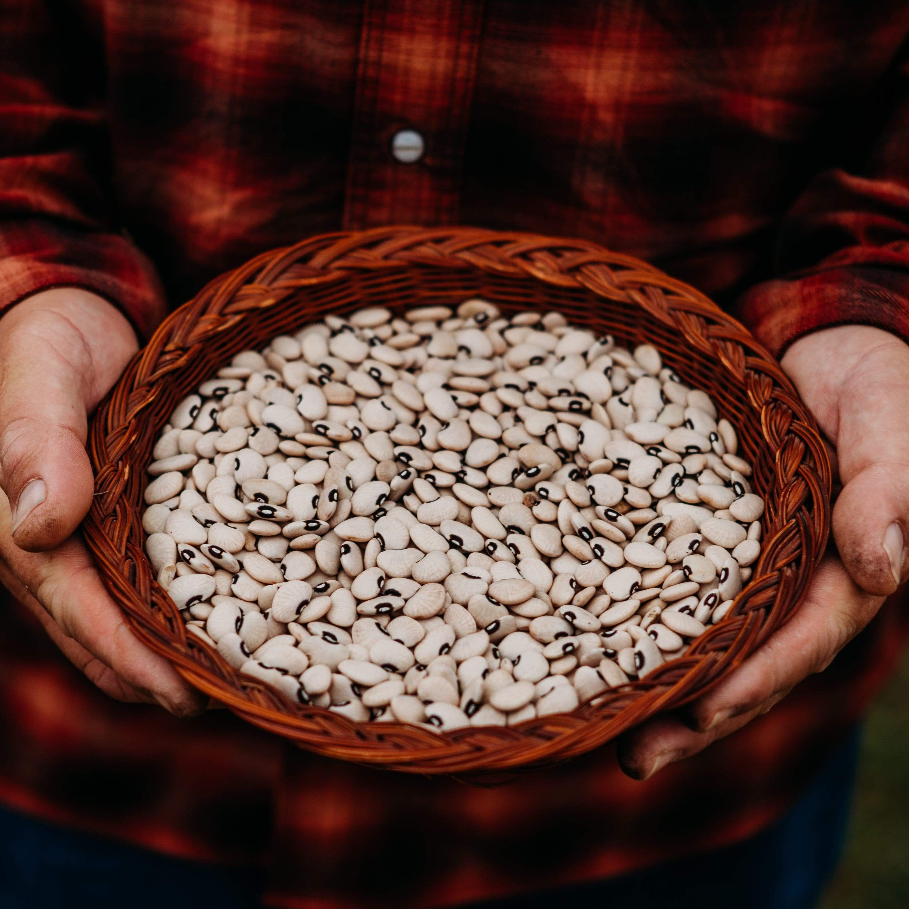 Alabama Blackeye Lima Bean Seeds