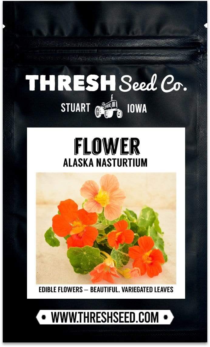 Alaska nasturtium seeds