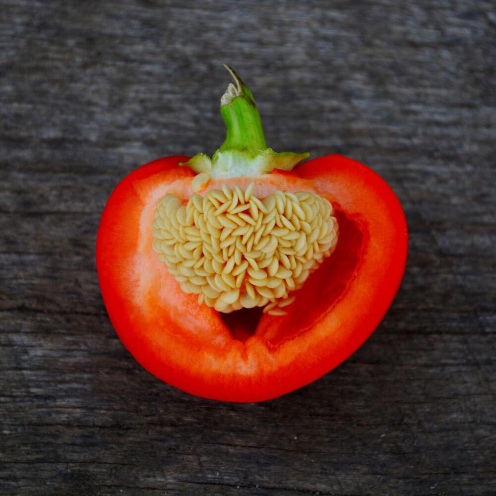 Alma Spicy Paprika Pepper - Cayenne Diane