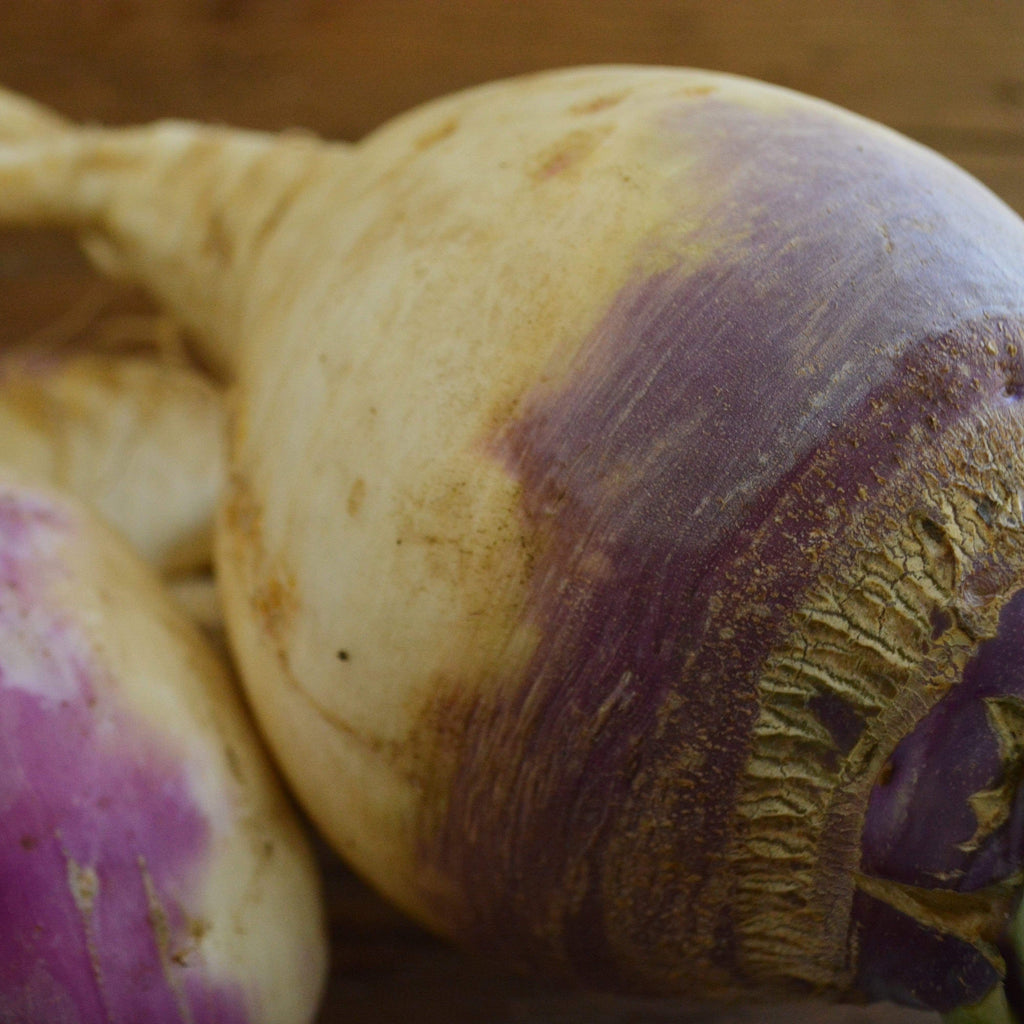 American Purple Top Rutabaga Seeds