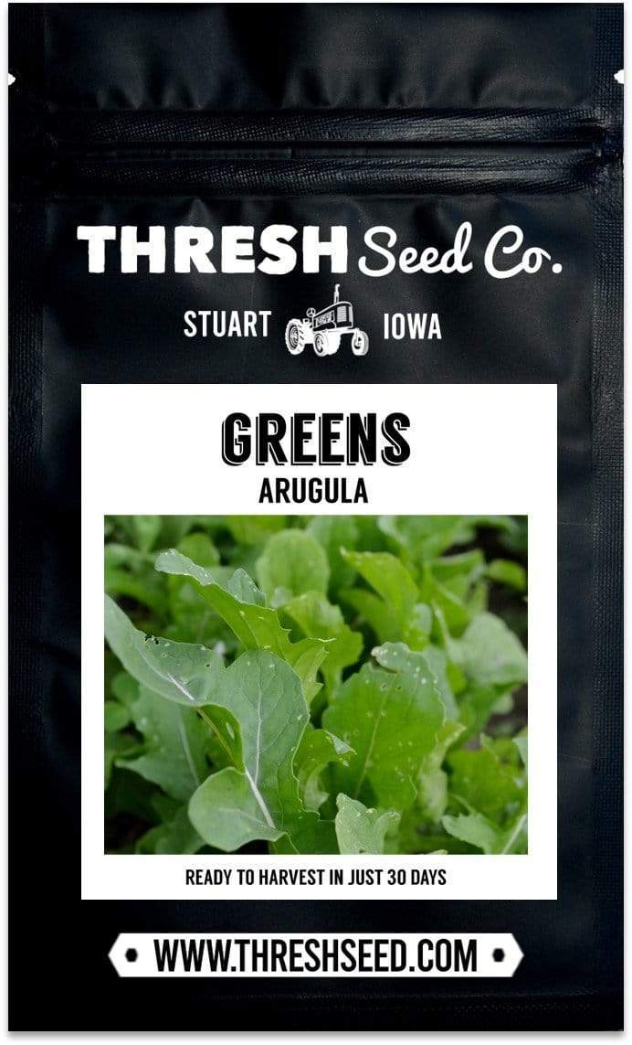 Rocket Arugula