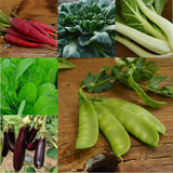 Asian Cooking Collection