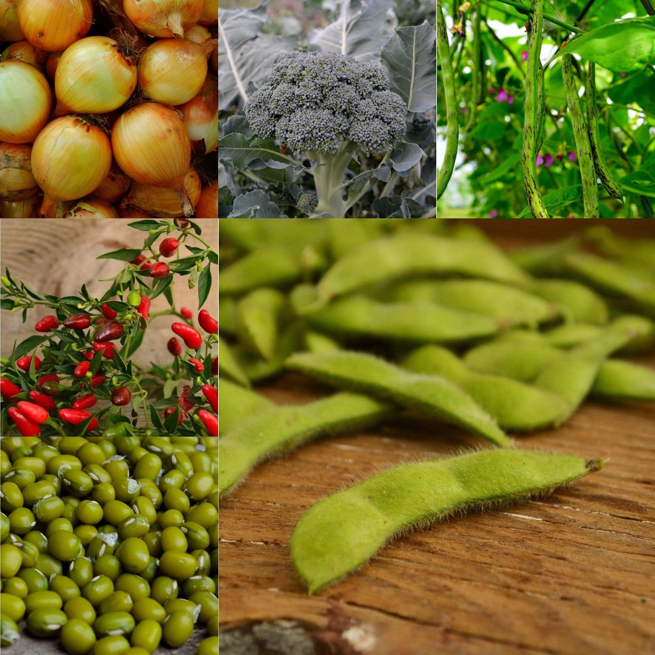Asian Cooking Collection Seeds