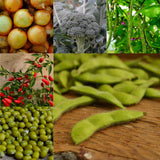 Asian Cooking Collection Seeds