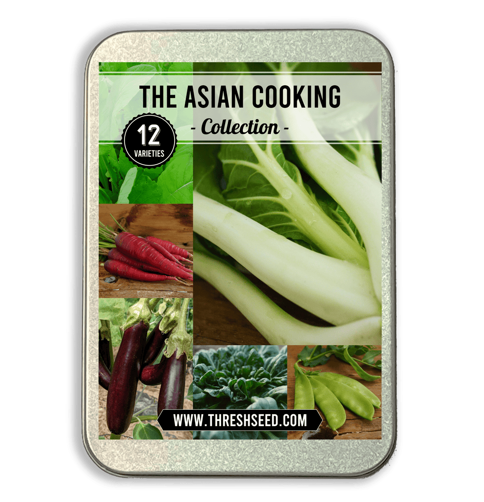 Asian Cooking Collection Seeds