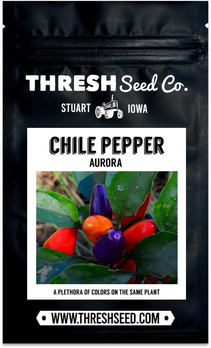 Aurora Chile Pepper