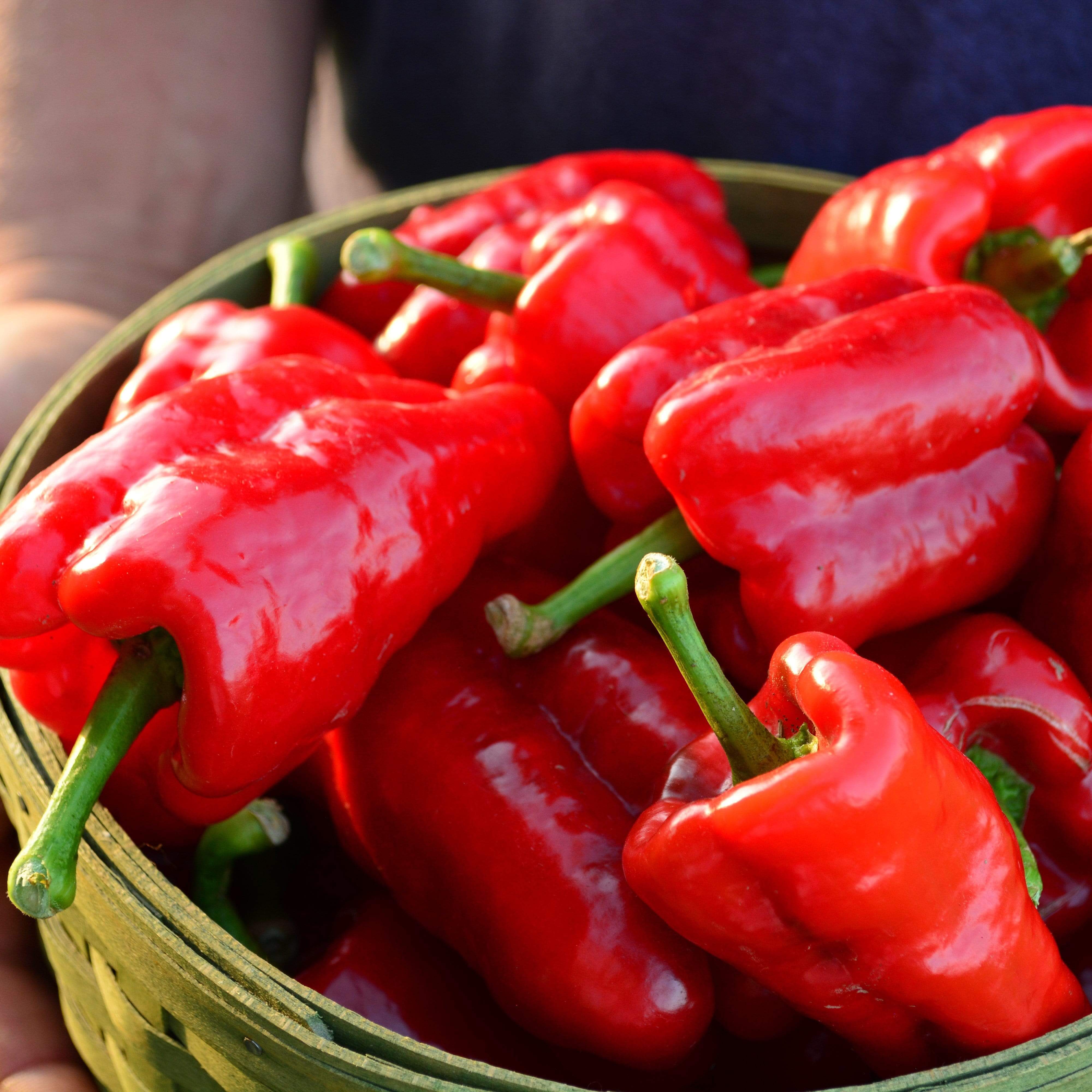 Ausilio Thin Skin Italian Sweet Pepper Seeds