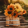 Autumn Beauty Sunflower Mix