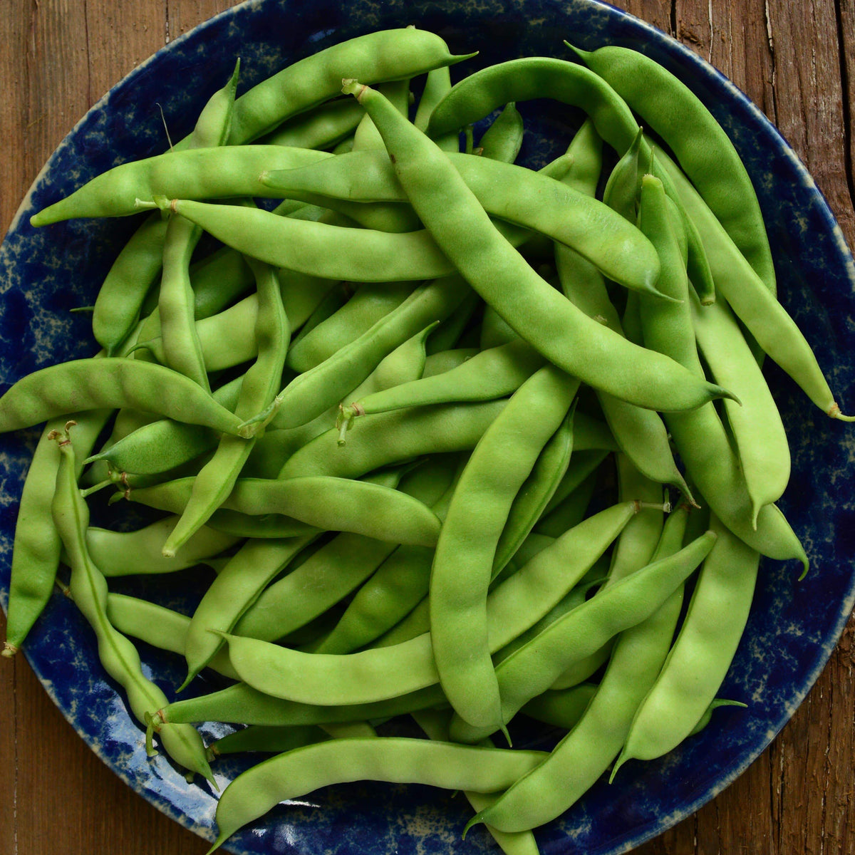 Ayşe Kadin Fasulye Pole Bean