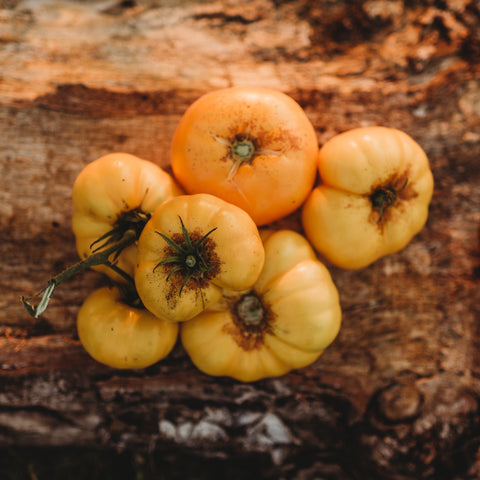 Azoychka Yellow Slicing Tomato Seeds