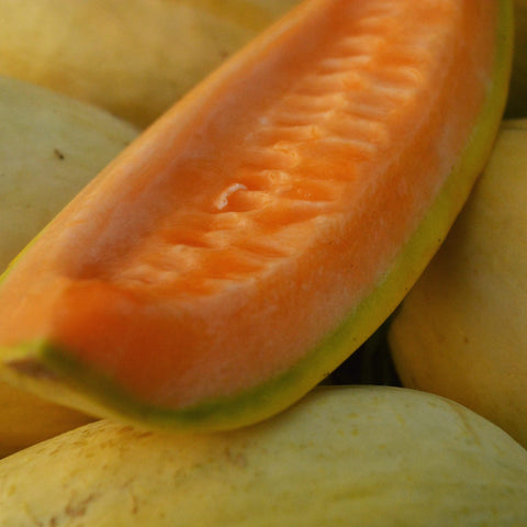 Banana Melon Seeds