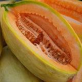 Banana Melon Seeds