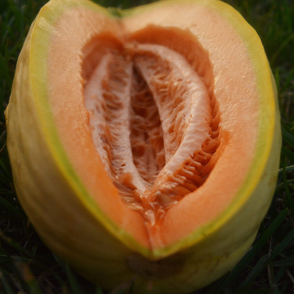 Banana Melon Seeds