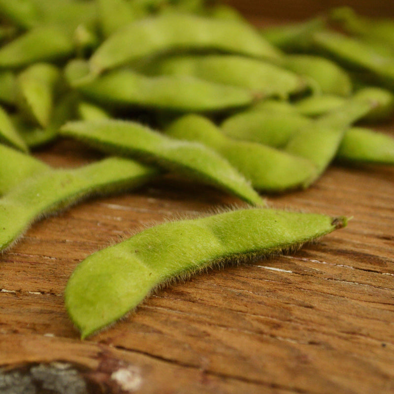 BeSweet Edamame Thresh Seed Co.