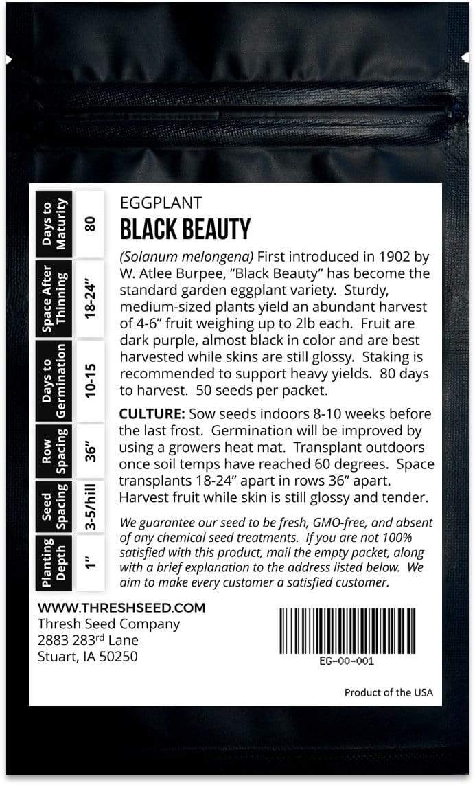 Black Beauty Eggplant Seeds