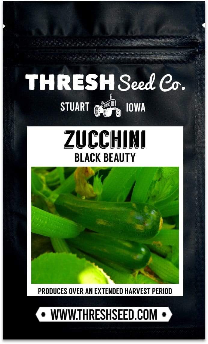 Black Beauty Zucchini