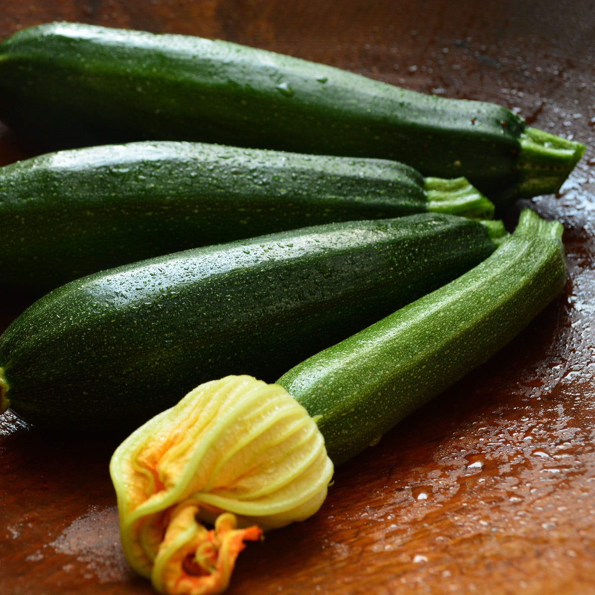 Black Beauty Zucchini