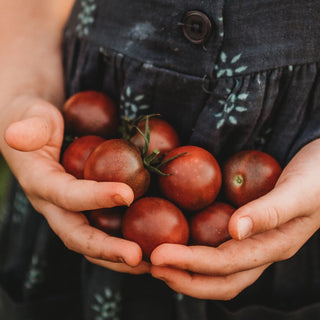 Black Cherry Heirloom Tomato