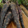 Black Nebula Carrot