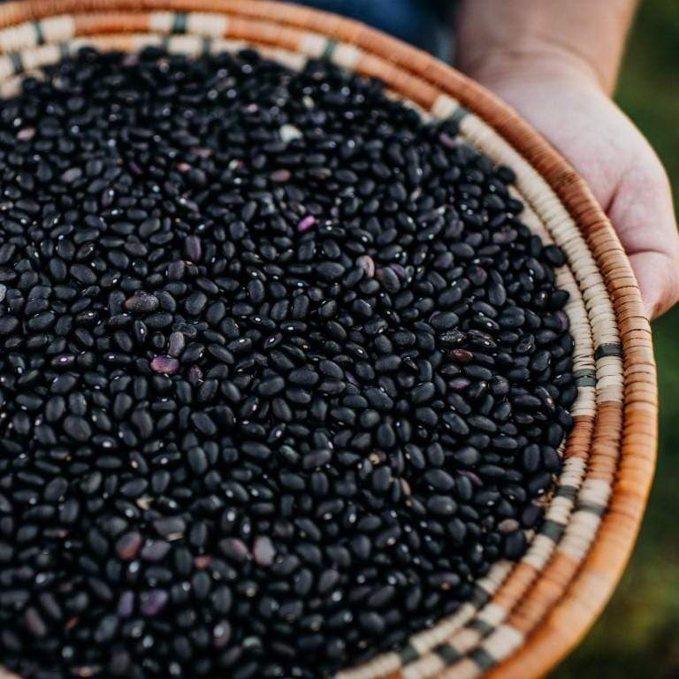 Black Turtle Semi-Runner Shelling Bean Seeds