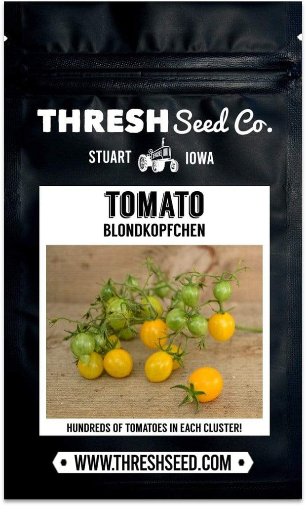 Blondkopfchen Cherry Tomato Seeds