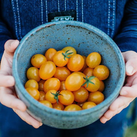 Blondkopfchen Cherry Tomato Seeds