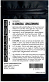 Bloomsdale Longstanding Spinach Seeds