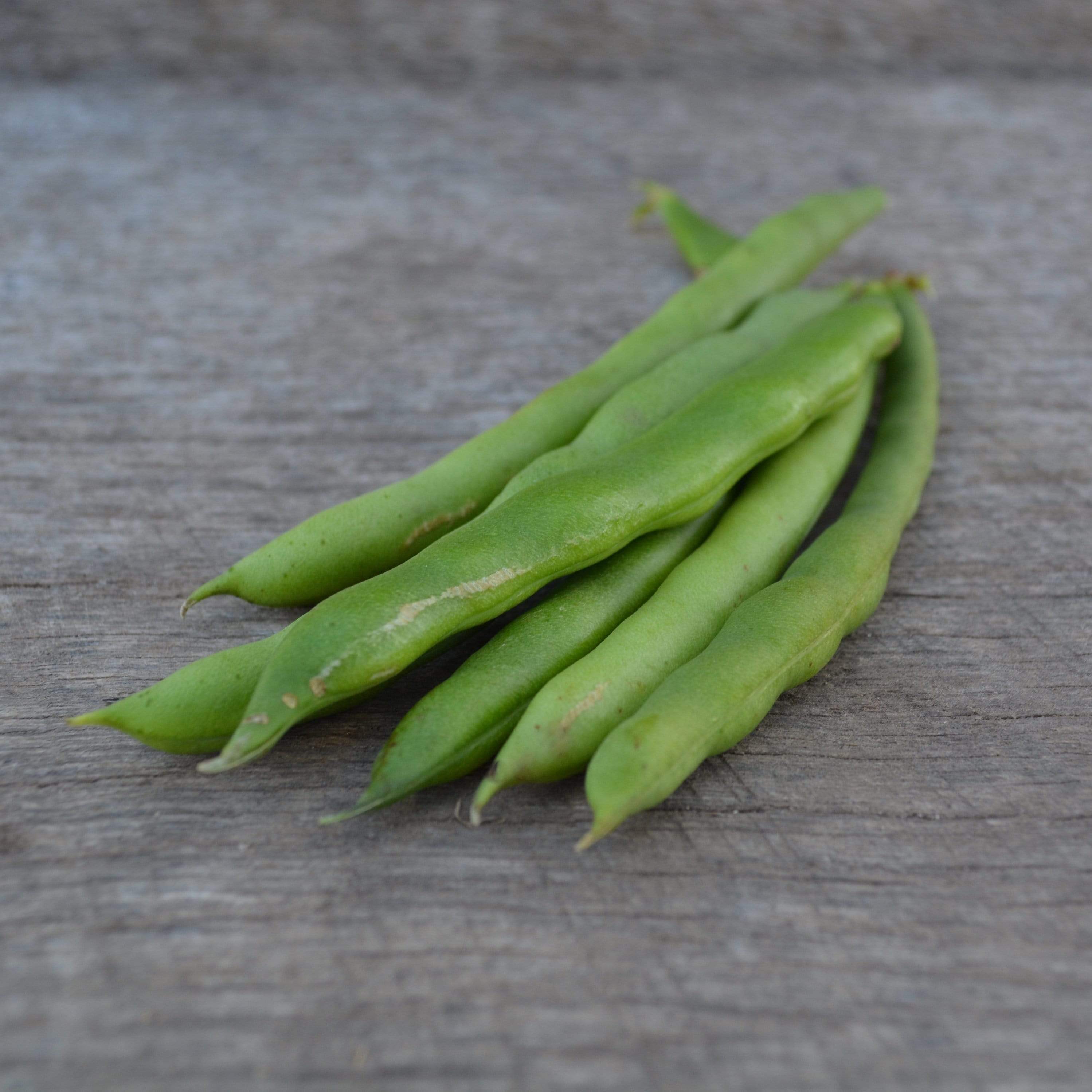 Blue Lake Pole Snap Green Bean Seeds