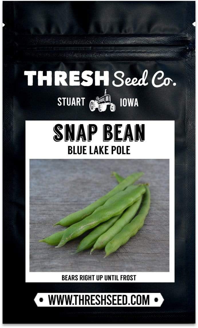 Blue Lake Pole Snap Green Bean Seeds