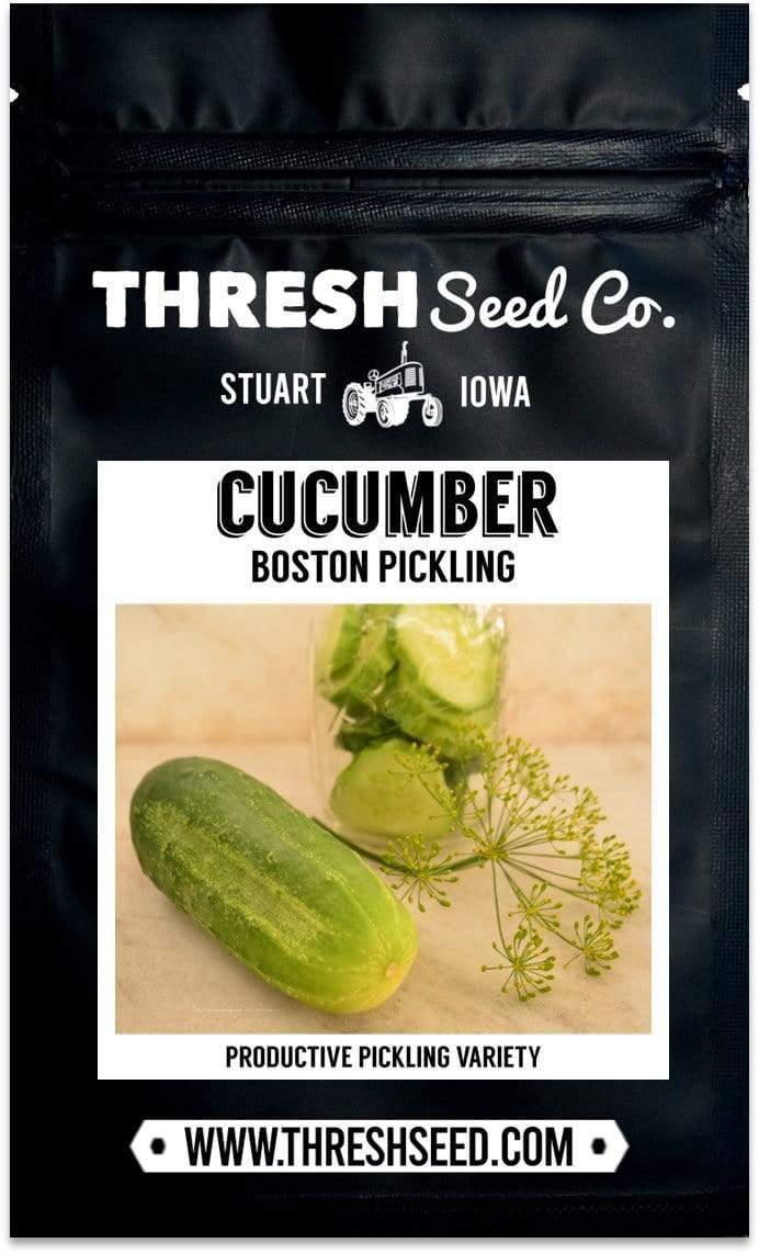 Boston Pickling Cucumber