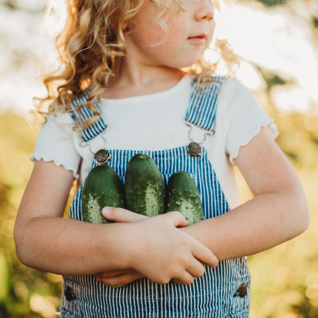 Boston Pickling Cucumber